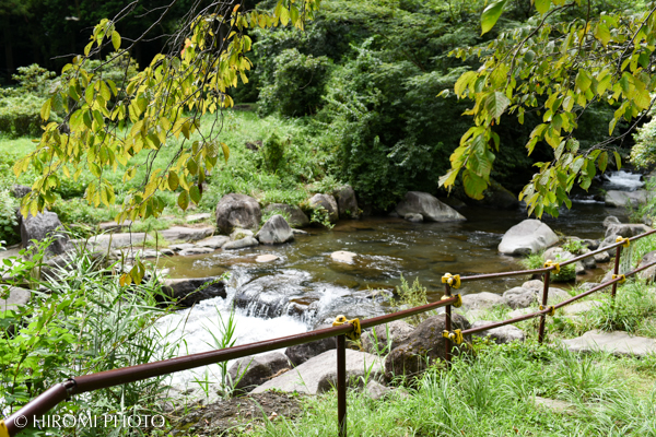幕山公園
