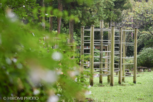 幕山公園アスレチック