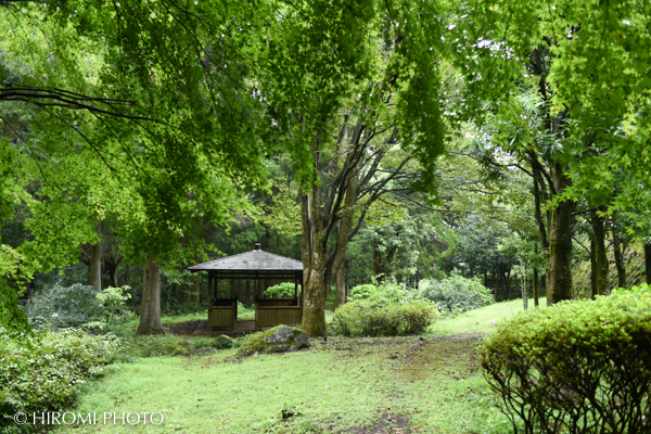 幕山公園