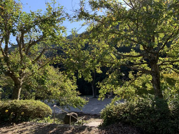 湯河原幕山公園