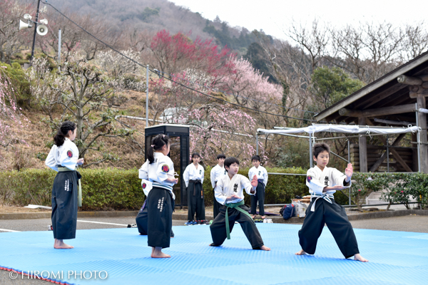 アクロバティック武道“躰道“