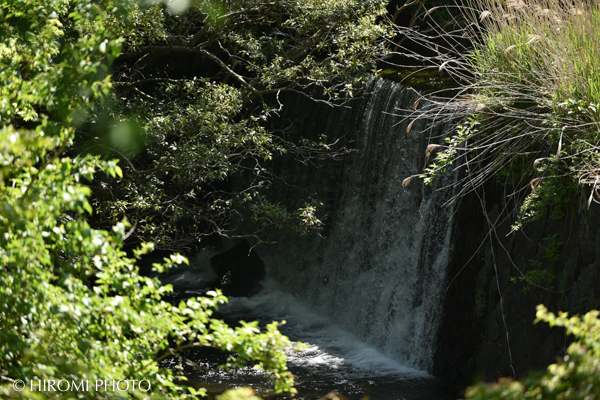 湯河原幕山公園