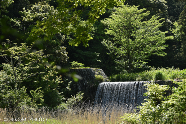 湯河原幕山公園
