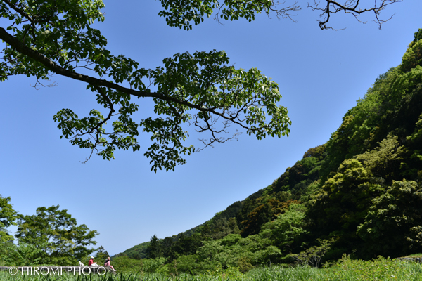 湯河原幕山公園