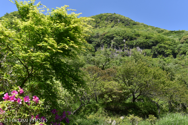 湯河原幕山公園