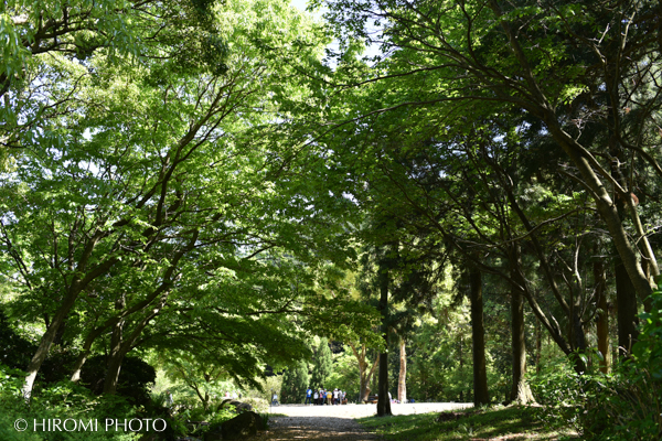 湯河原幕山公園