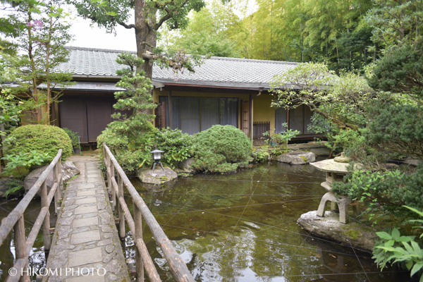 箱根玉庭にて家族婚_043s