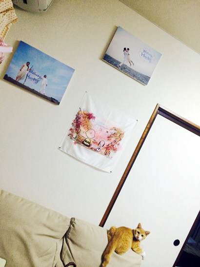 photopanel_a
