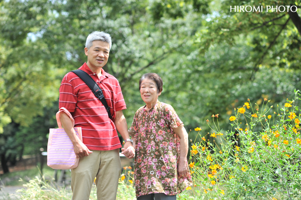 キバナコスモスの前で