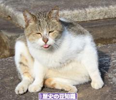 にほんブログ村 歴史ブログ 歴史の豆知識へ