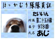 あじ♂柴犬.jpg