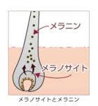 yjimage-3