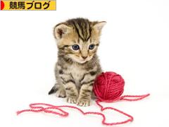 にほんブログ村 競馬ブログへ