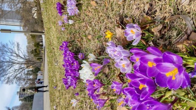 DSC_3336サイズ変更