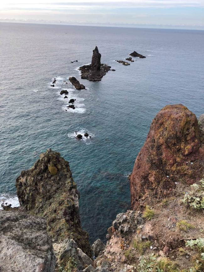 received_490246945157779