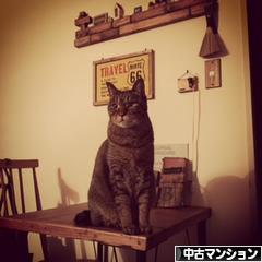 にほんブログ村 住まいブログ 中古マンションへ