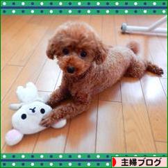 にほんブログ村 主婦日記ブログへ