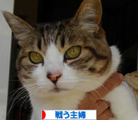 にほんブログ村 主婦日記ブログ 戦う主婦へ