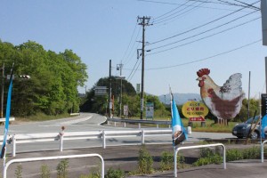 コケコッコー共和国