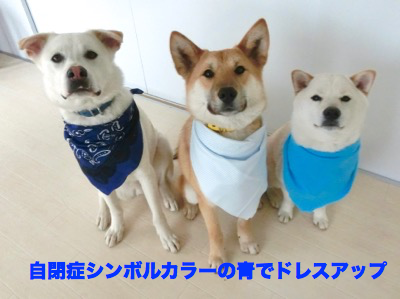 自閉症と犬 公益財団法人 ヒューマニン財団活動blog