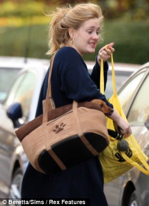 Fashion follower: Singer Adele with her little friend and Miranda Kerr with a puppy in a bag