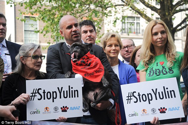 Actress Carrie Fisher joins MPs and campaigners to hand in 11 million signature petition at China's London Embassy last year, to end Chinaís Yulin dog meat festival