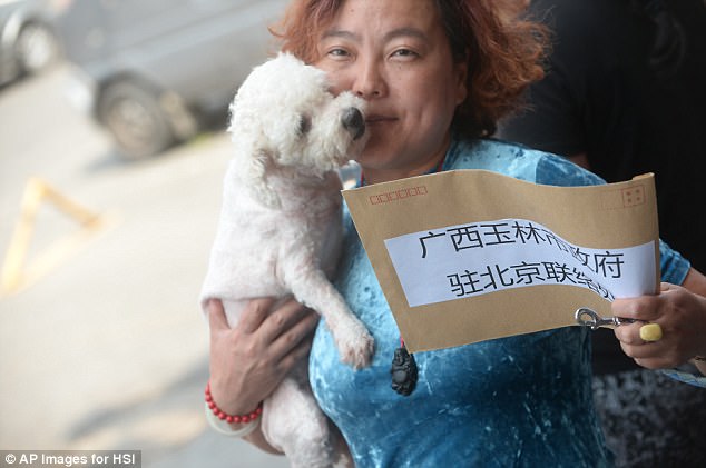 Wang Liqun, an annimal rights advocate, poses with the petition letter to the representative office of Yulin city government in Beijing June 10, 2016