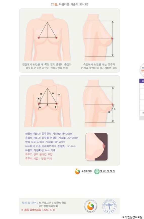 女性の美しい胸 色やサイズは国家が決める 韓国政府の健康情報サイトが炎上 Ao Gasto Muito Bem Puro Em 秋篠宮 佳子