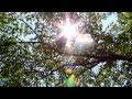 《デジ一眼EOSで録る》　小さな夏　―かごぼう―