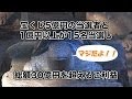 酒列磯前神社（高額宝くじ当選者続出）Hitachi-Ota Hi-Vision Diary