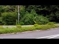 深夜の青木ヶ原樹海一周の旅①【風穴(の入り口)～薄暗い樹海内部】