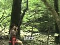 宮崎県北郷町の森林セラピーの森へ行きませんか？