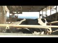 くるりん日進　第3回愛知牧場