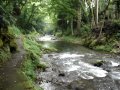 福井県池田町・足羽川渓谷のせせらぎ