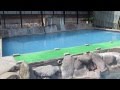 観海寺温泉・いちのいで会館