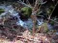 瓜破の滝