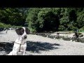「神之川キャンプ・マス釣場」紹介ビデオ