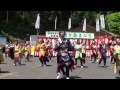 賤ヶ岳祭り２０１３　【総踊り】　柿パラ