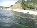 2012.08.23 越前・長須浜海水浴場