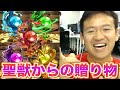 【パズドラ】聖獣からの贈り物 で宝玉ゲット！聖獣…なかなか手強いぞ！