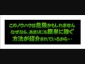 ほったらかしで稼ぐ エフォートレス・マネー・ジェネレイター