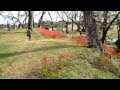 羽黒山公園の彼岸花（大崎市古川小野地区） 2012