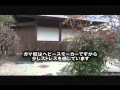 映像　岡崎 奥殿陣屋ぶらり散歩路1