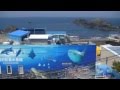 GZ-EX270 越前松島水族館 2013年春