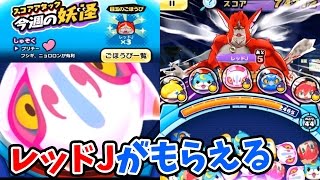 SSランクの覚醒キュウビで新スコアアタック!   レッドJや秘伝書などがもらえる　　妖怪ウォッチぷにぷに#116  アニメでお馴染み、妖怪ウォッチを三浦TVが実況!
