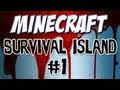 Minecraft - 