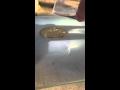 Never wet test v1