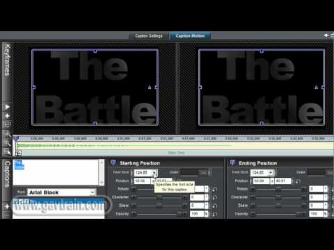 Galos De Combate Barrigeros - MercadoLivre.