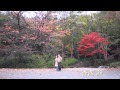 「心のサプリメント」DVD　第三話予告編～白い女の正体は・・・