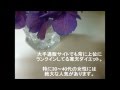 寒天ダイエットは手軽にできますが...